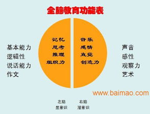 山東臨沂與臨沭全腦開(kāi)發(fā)服務(wù) 可靠提供商、廠家與價(jià)格咨詢(xún)指南